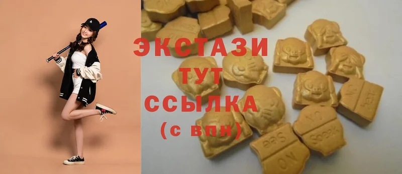 где можно купить наркотик  Покачи  Ecstasy Cube 